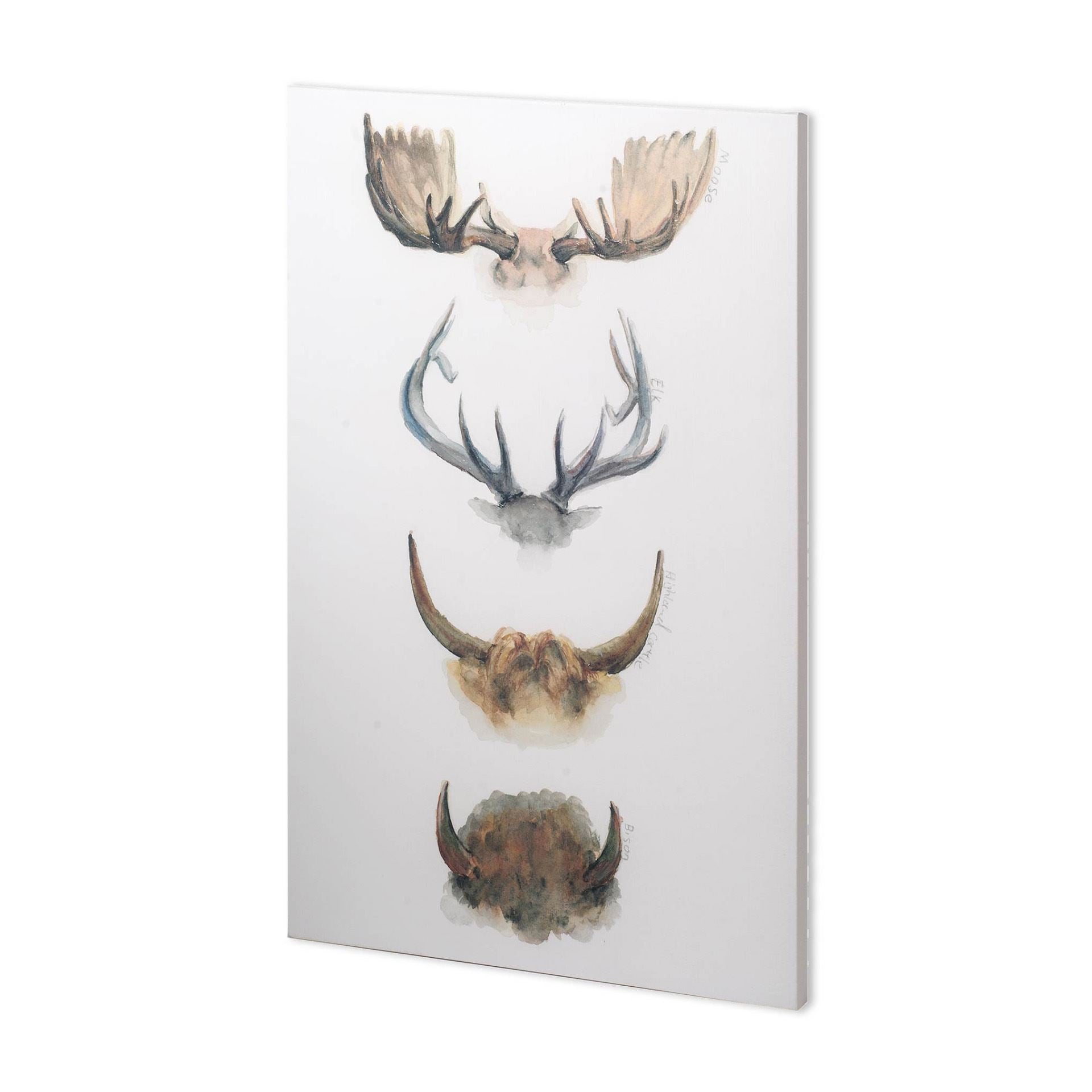 HORN & TAIL STUDY II WALL ART