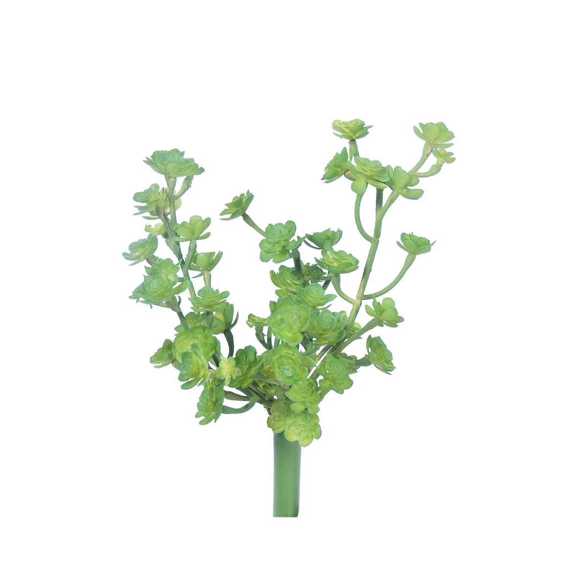 10" Mini Succulent Spray