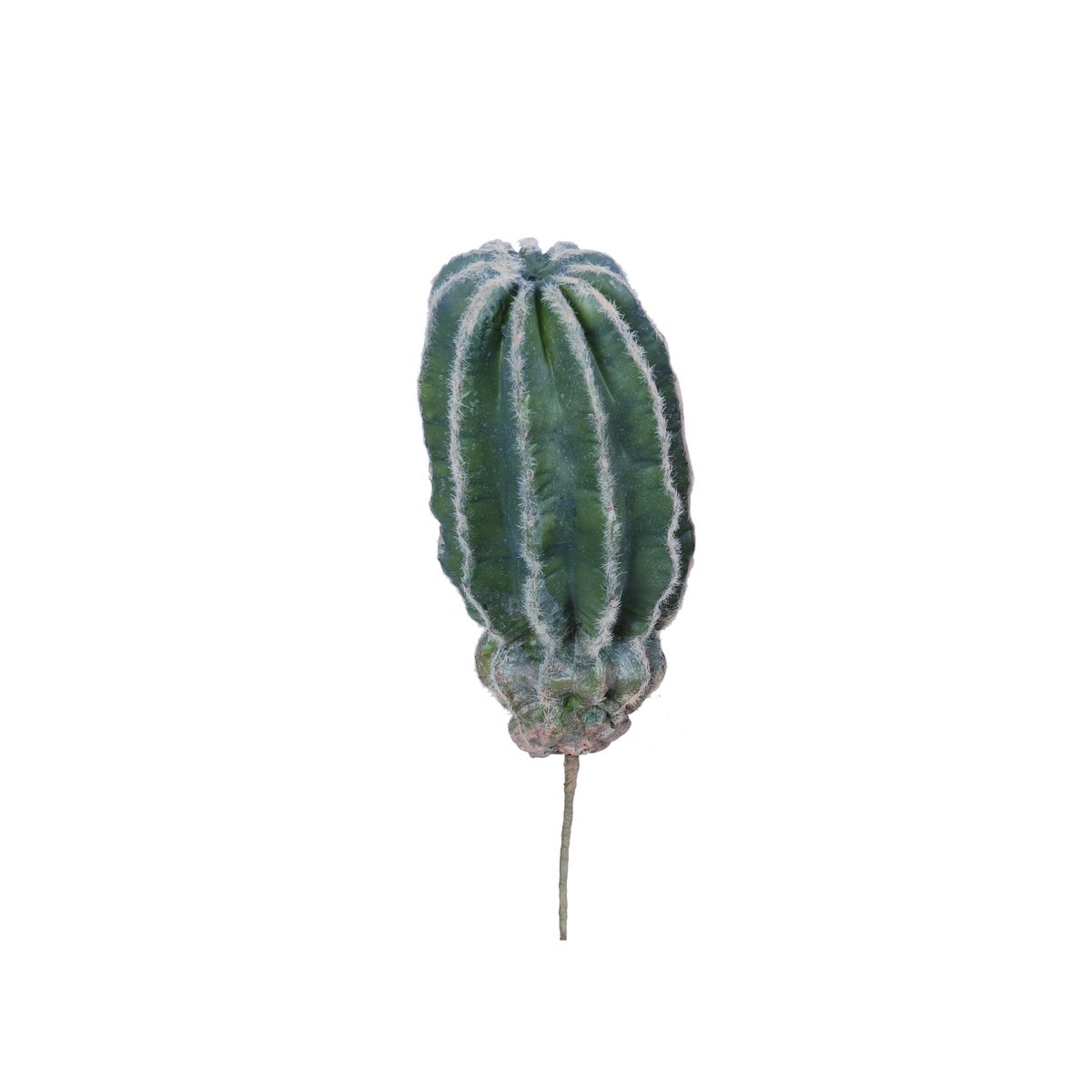 18" CACTUS